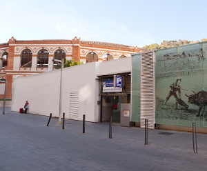 Parkeren in Málaga