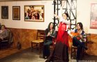 Flamenco show Malaga