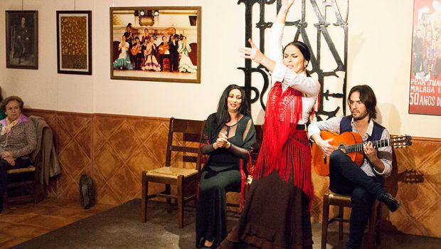 Flamenco show Malaga