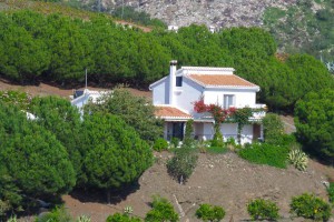 B&B Malaga - bed and breakfast