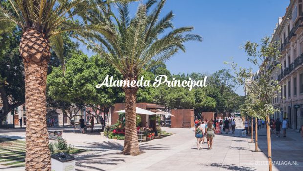 Alameda Principal Malaga centro