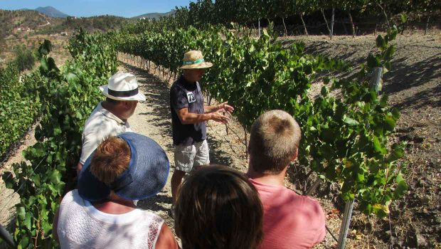 Malaga omgeving - bodega rondleiding en proeverij