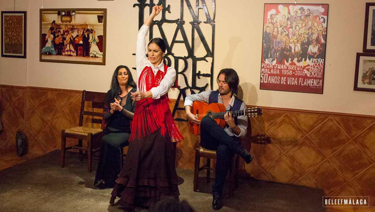 Flamenco Malaga