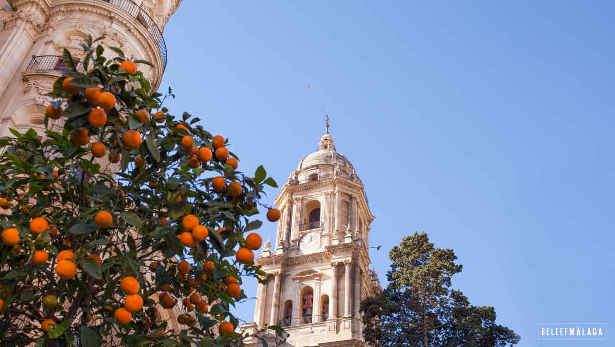 Kathedraal Málaga
