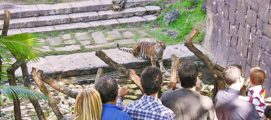 Malaga met kinderen - dierentuin