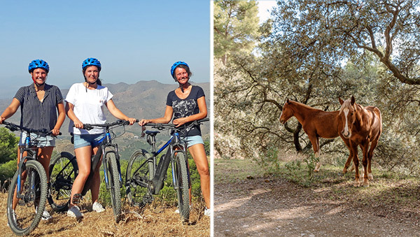 Mountainbike Malaga Andalusie