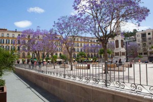 Plaza de la Merced Malaga