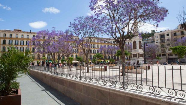 Plaza de la Merced Malaga