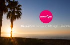 Reisgids Malaga - Zomertips