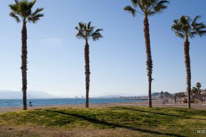 Strand Malaga - El Palo